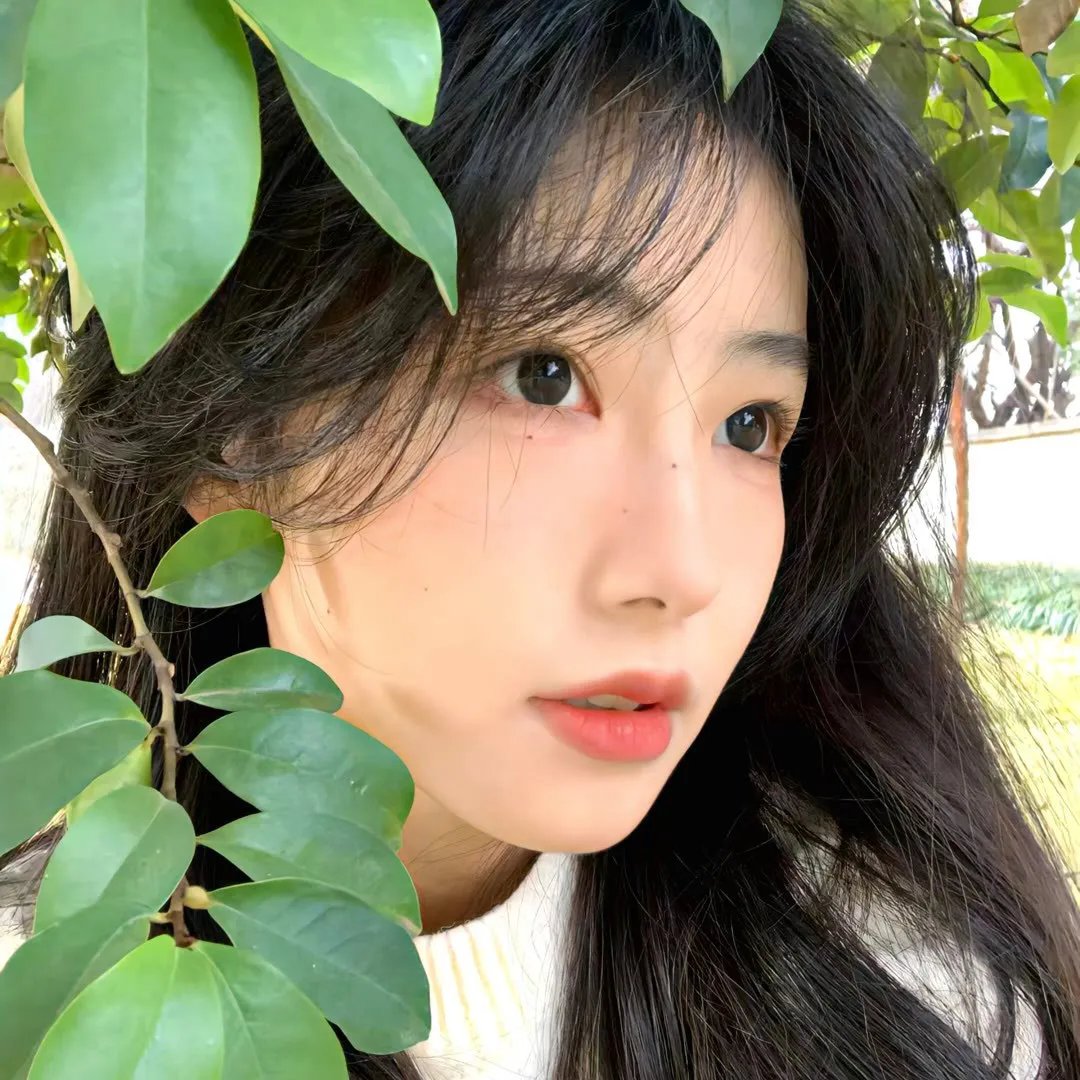 万凰之王粤语